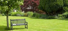 Garden Maintenance
