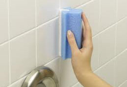 Domestic Cleaning Services