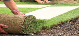Turfing